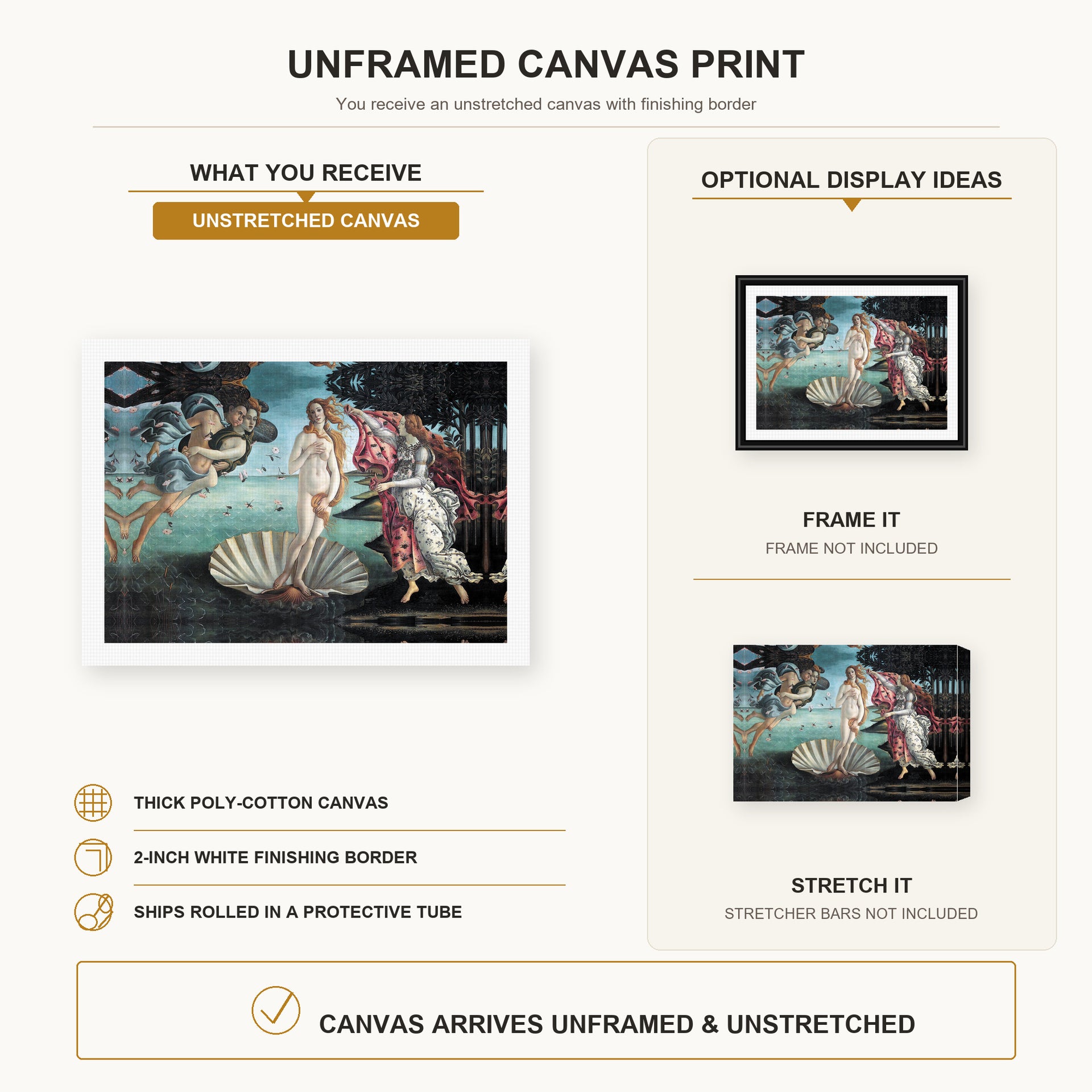 Sandro Botticelli - Birth of Venus canvas print size comparison and framing display infographic