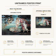 Sandro Botticelli - Birth of Venus poster print size comparison and framing display infographic