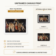 Sandro Botticelli - Primavera canvas print size comparison and framing display infographic