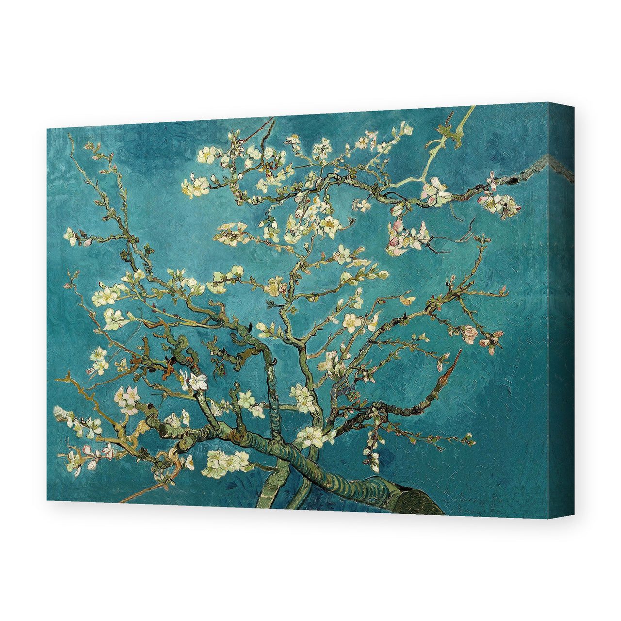 Vincent van Gogh's 'Blossoming Almond Tree' painting reproduced as a gallery-wrapped canvas print
