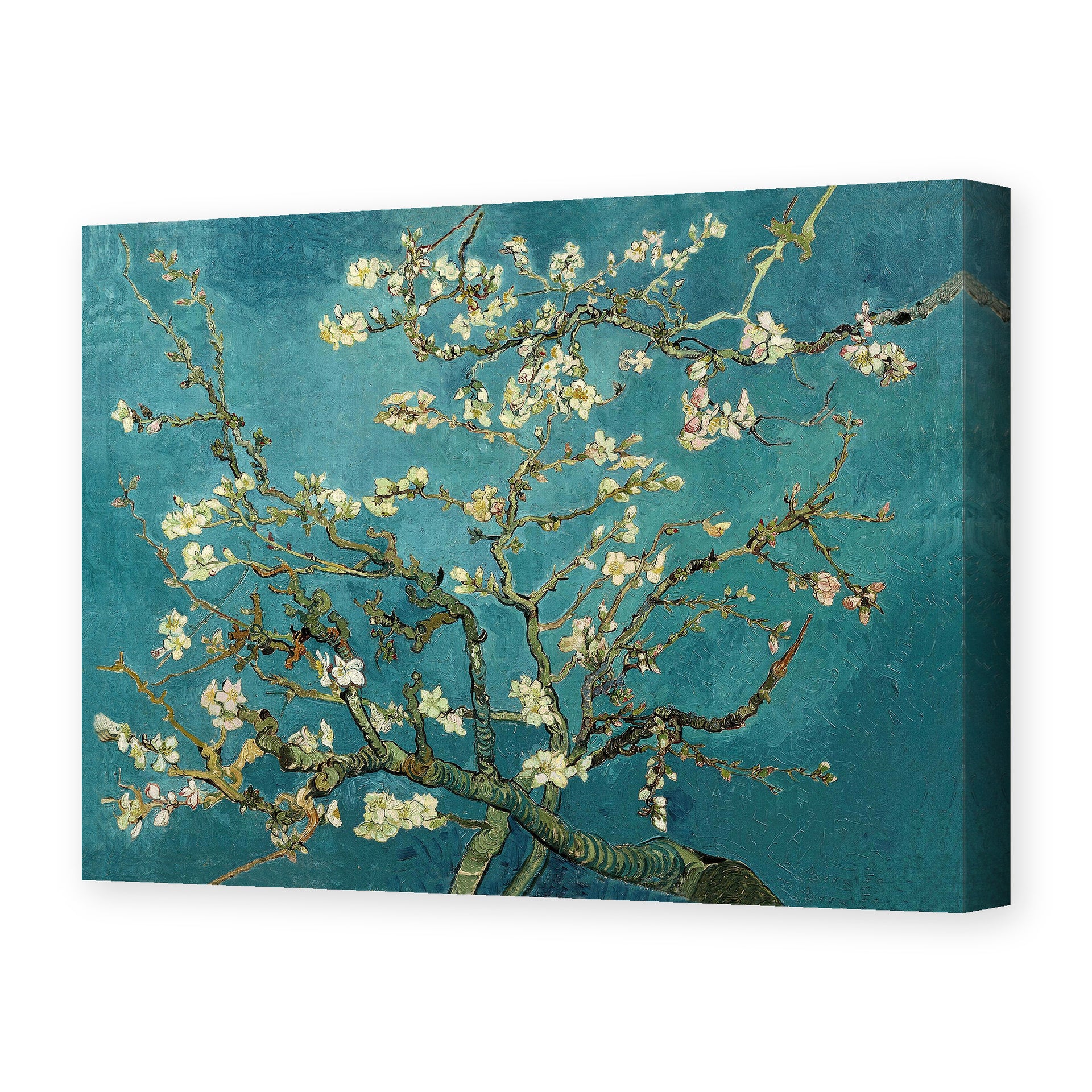 Vincent van Gogh's 'Blossoming Almond Tree' painting reproduced as a gallery-wrapped canvas print