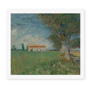 Vincent van Gogh's 'Farmhouse in a Wheatfield' painting reproduced as a rolled canvas print