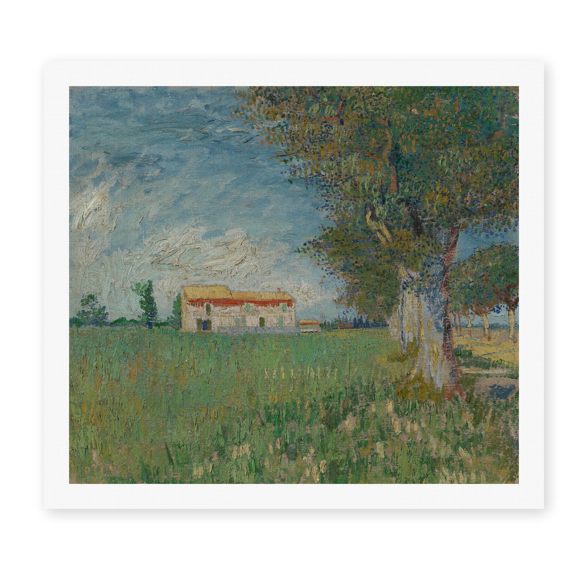Vincent van Gogh's 'Farmhouse in a Wheatfield' painting reproduced as a rolled canvas print