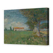 Vincent van Gogh's 'Farmhouse in a Wheatfield' painting reproduced as a gallery-wrapped canvas print