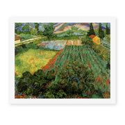 Vincent van Gogh's 'Field with Poppies' painting reproduced as a rolled canvas print