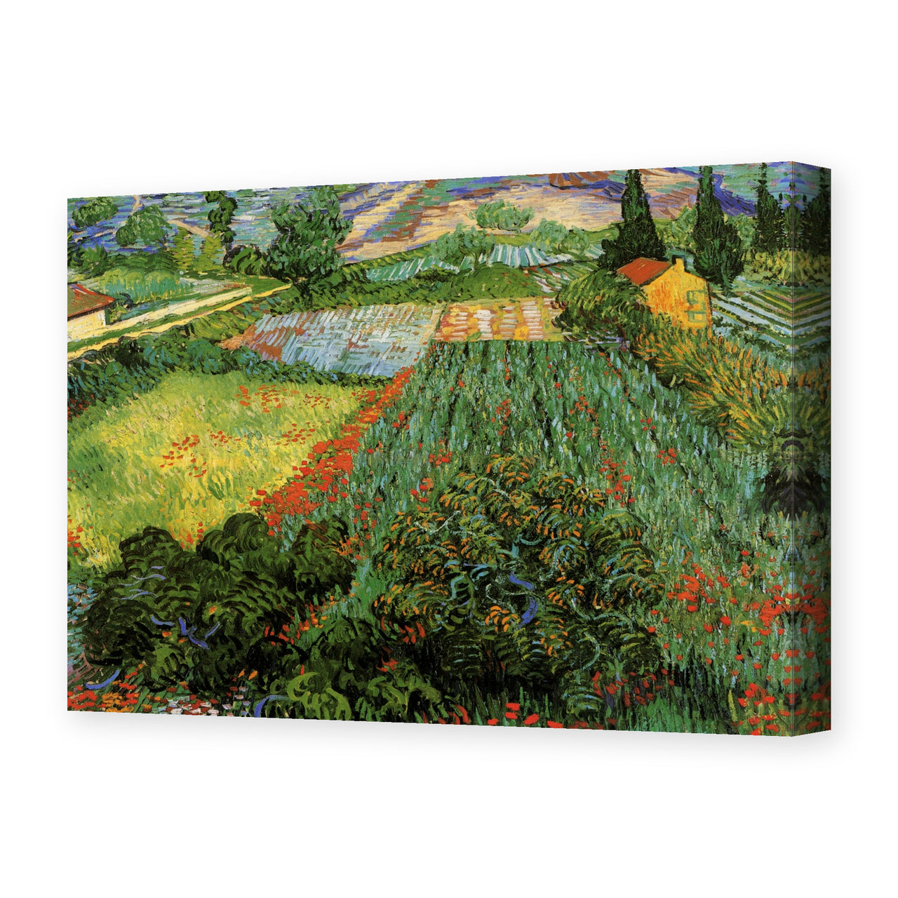 Vincent van Gogh's 'Field with Poppies' painting reproduced as a gallery-wrapped canvas print