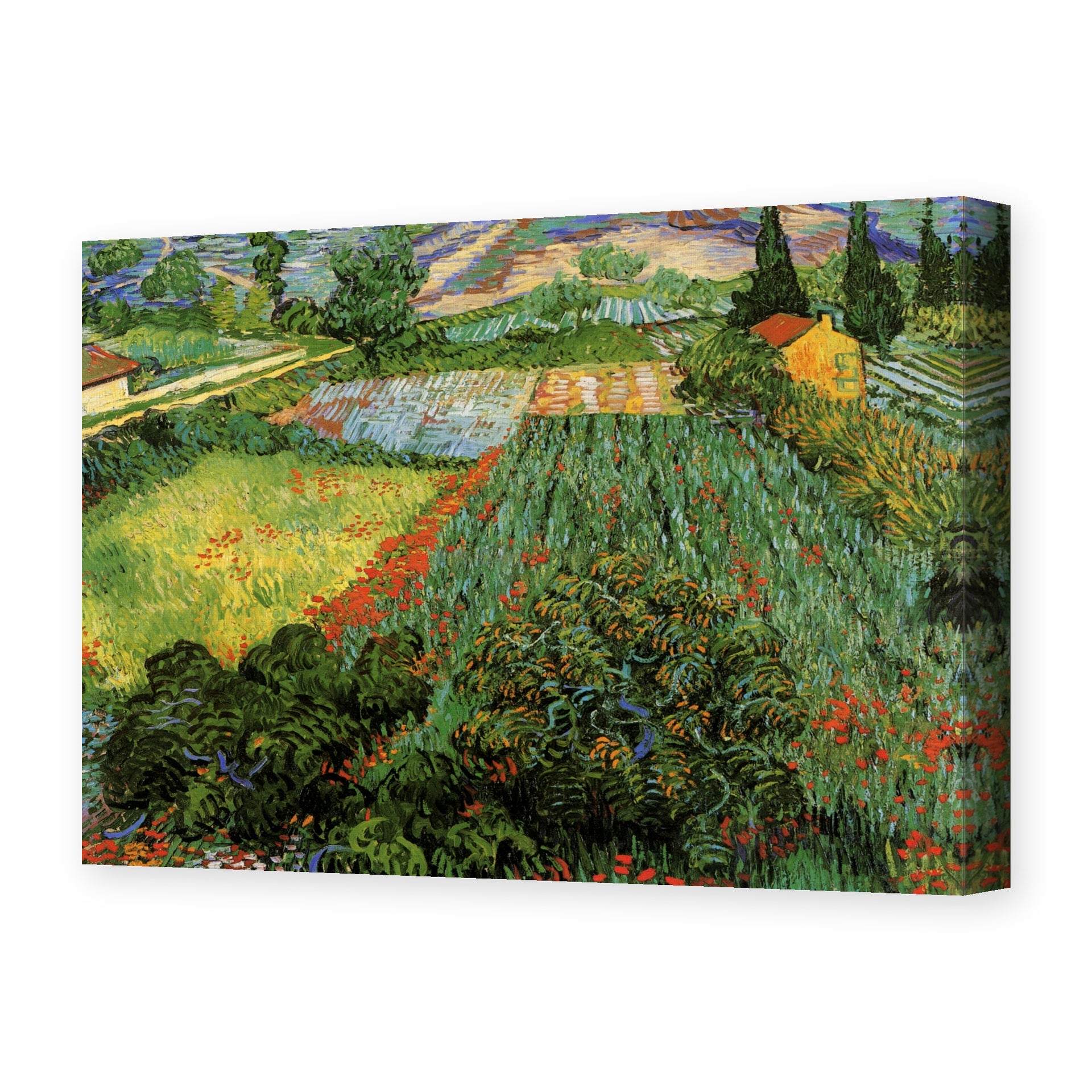 Vincent van Gogh's 'Field with Poppies' painting reproduced as a gallery-wrapped canvas print