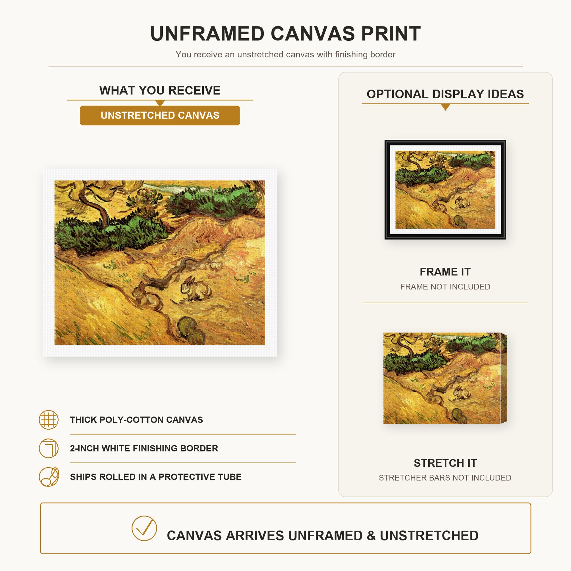 Vincent van Gogh - Field with Two Rabbits canvas print size comparison and framing display infographic
