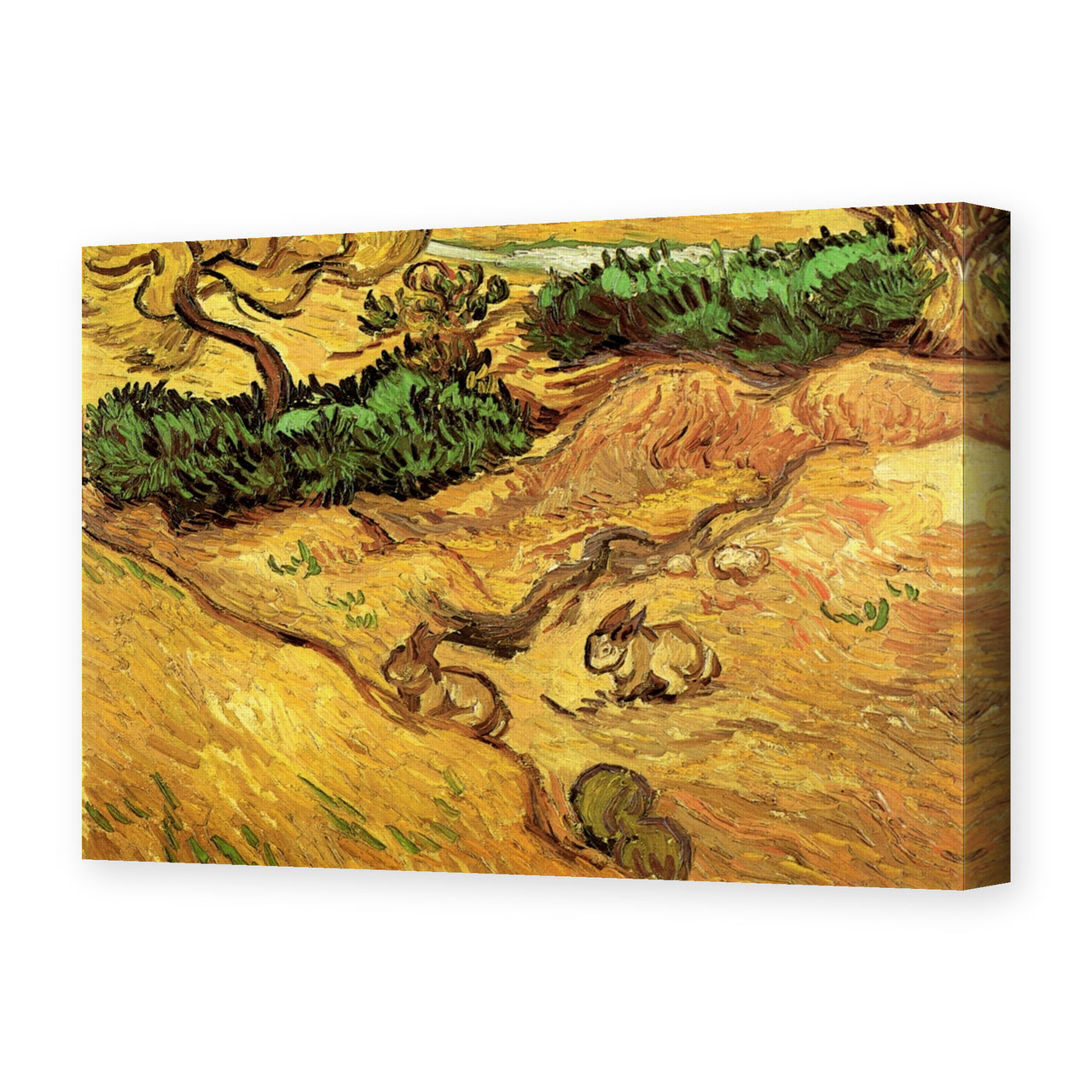 Vincent van Gogh's 'Field with Two Rabbits' painting reproduced as a gallery-wrapped canvas print