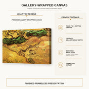 Vincent van Gogh - Field with Two Rabbits gallery wrap canvas construction and hanging details infographic