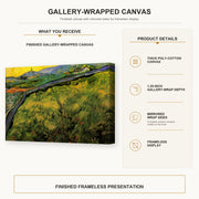 Vincent van Gogh - Field of Spring Wheat at Sunrise gallery wrap canvas construction and hanging details infographic