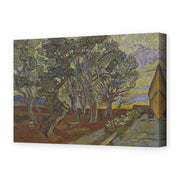 Vincent van Gogh's 'Garden of the Asylum' painting reproduced as a gallery-wrapped canvas print