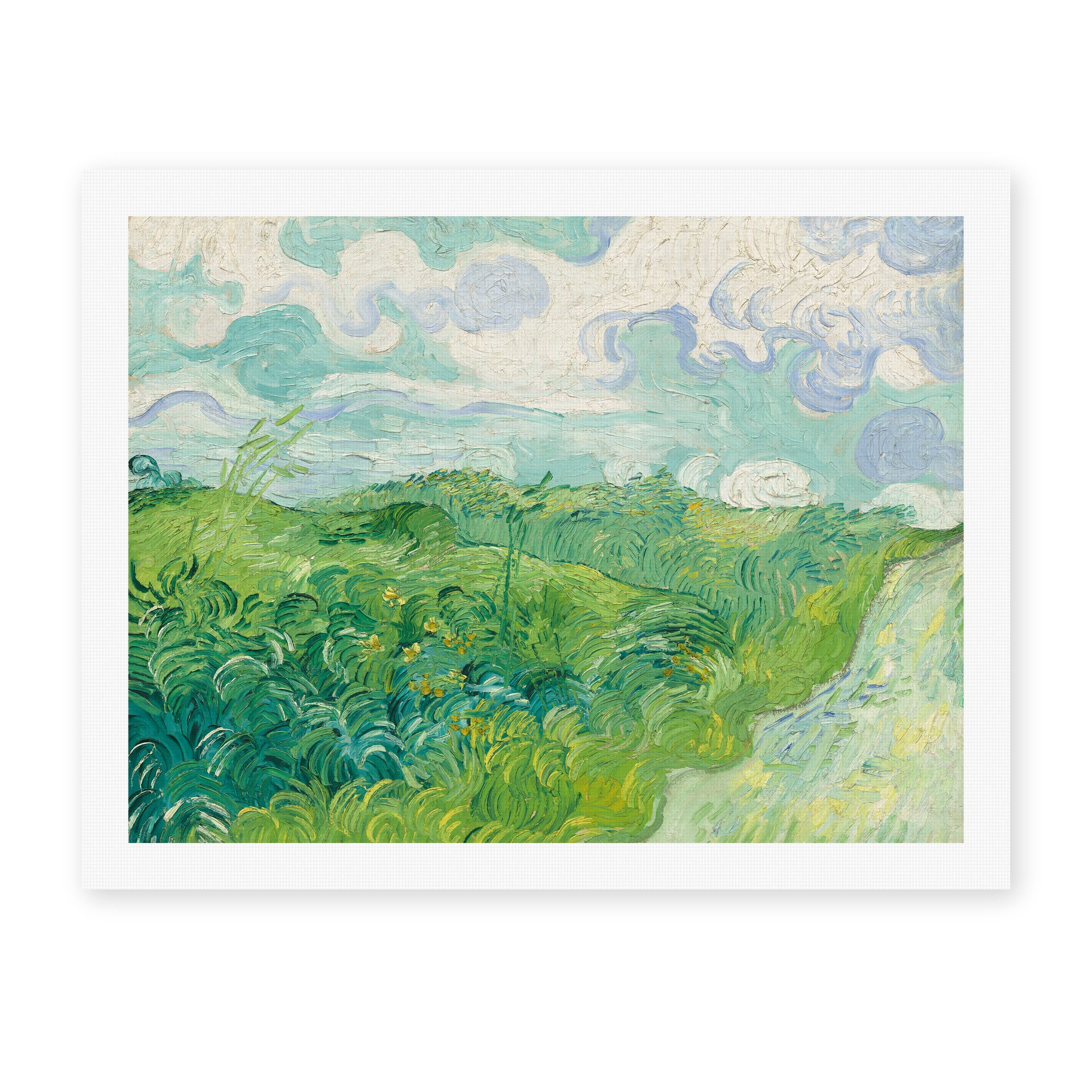 Vincent van Gogh's 'Green Wheat Fields, Auvers' painting reproduced as a rolled canvas print