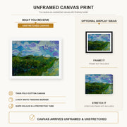 Vincent van Gogh - Green Wheat Fields canvas print size comparison and framing display infographic