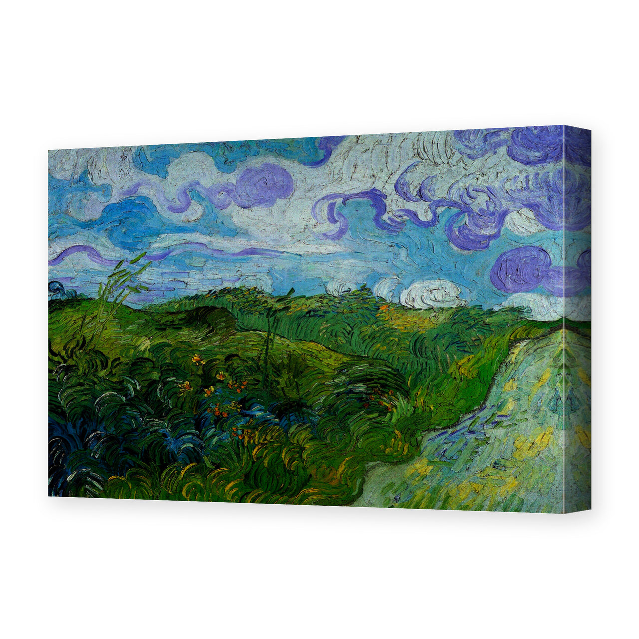 Vincent van Gogh's 'Green Wheat Fields' painting reproduced as a gallery-wrapped canvas print