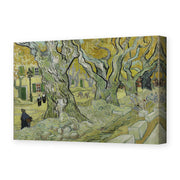 Vincent van Gogh's 'Large Plane Trees' painting reproduced as a gallery-wrapped canvas print