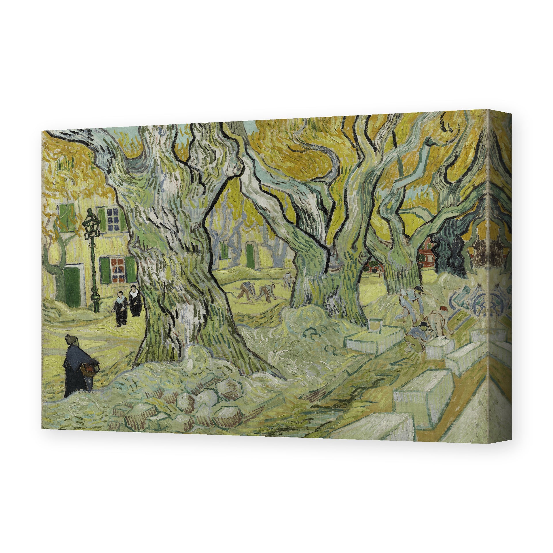 Vincent van Gogh's 'Large Plane Trees' painting reproduced as a gallery-wrapped canvas print