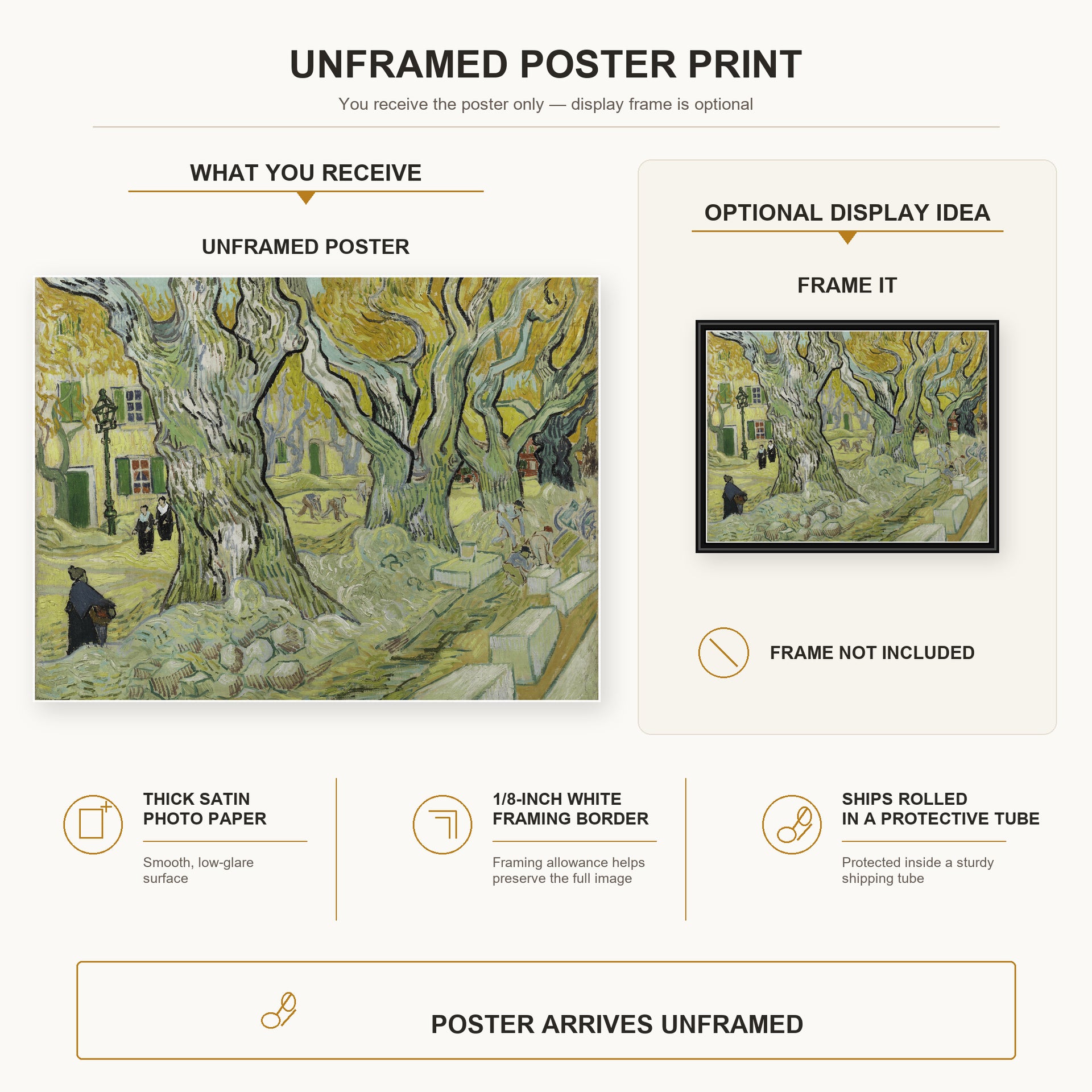 Vincent van Gogh - Large Plane Trees poster print size comparison and framing display infographic