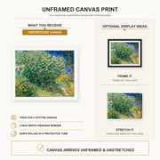 Vincent van Gogh - Lilac Bush canvas print size comparison and framing display infographic