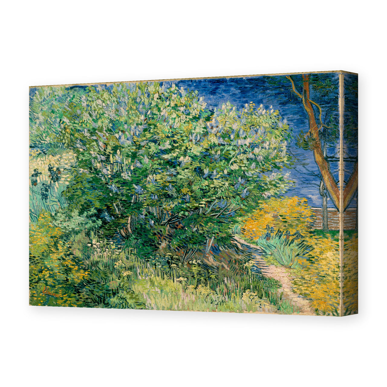 Vincent van Gogh's 'Lilac Bush' painting reproduced as a gallery-wrapped canvas print