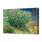 Vincent van Gogh's 'Lilac Bush' painting reproduced as a gallery-wrapped canvas print