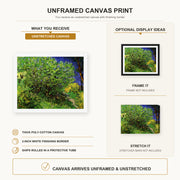 Vincent van Gogh - Lilacs canvas print size comparison and framing display infographic
