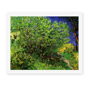Vincent van Gogh's 'Lilacs' painting reproduced as a rolled canvas print
