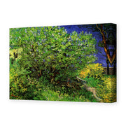 Vincent van Gogh's 'Lilacs' painting reproduced as a gallery-wrapped canvas print