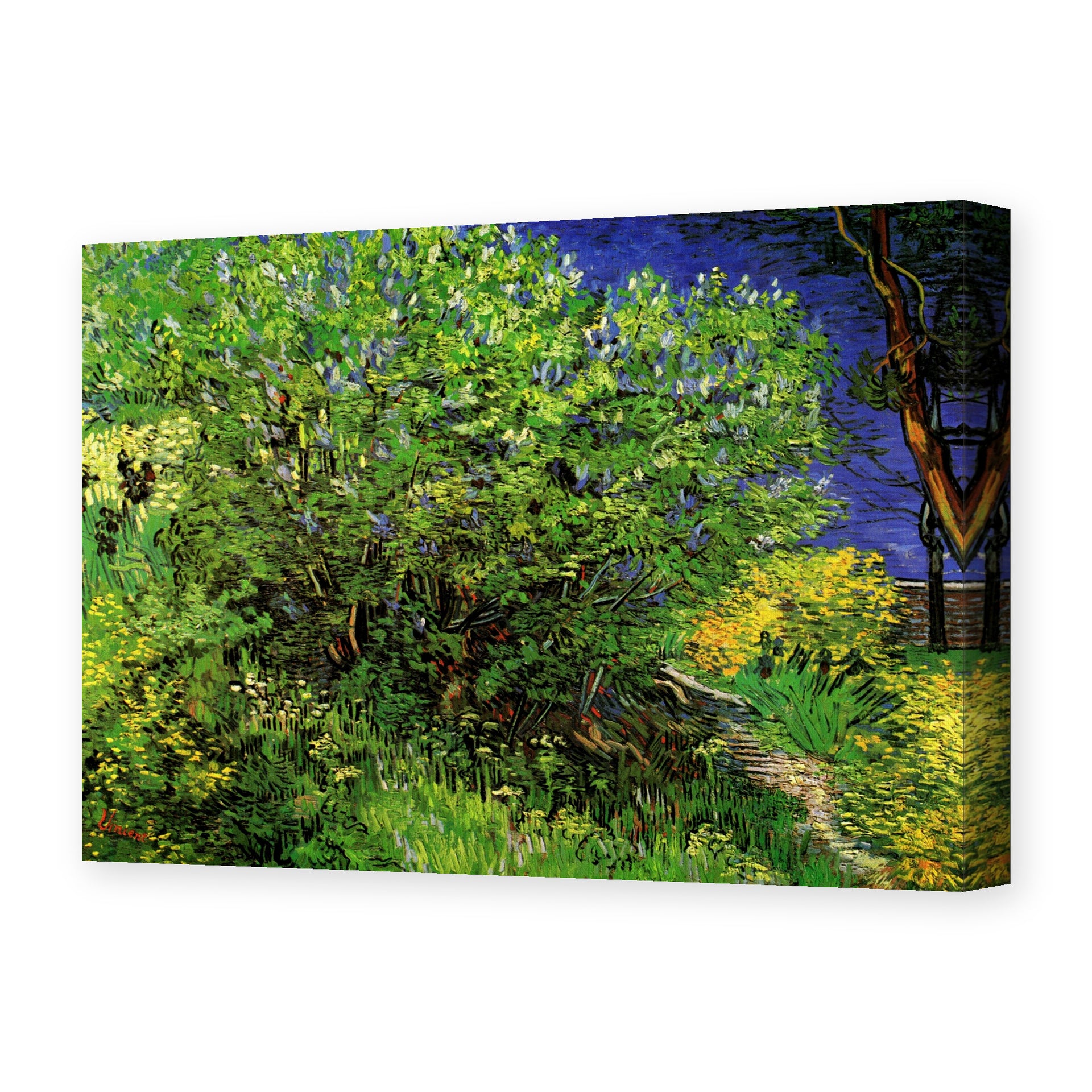 Vincent van Gogh's 'Lilacs' painting reproduced as a gallery-wrapped canvas print