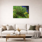 Gallery-wrapped canvas print of Vincent van Gogh's Lilacs displayed on a wall in a living room