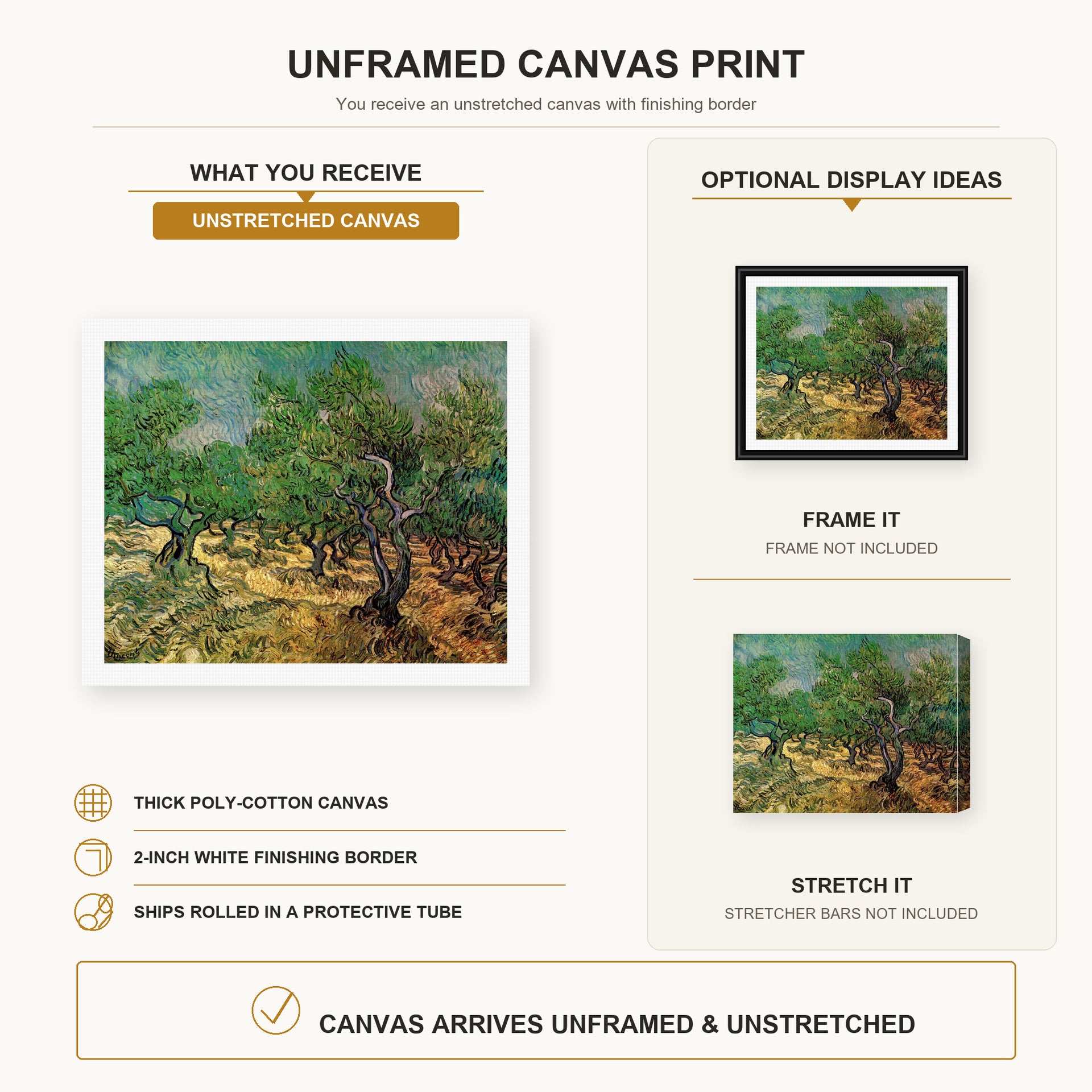 Vincent van Gogh - Olive Grove canvas print size comparison and framing display infographic