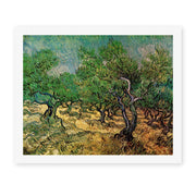 Vincent van Gogh's 'Olive Grove' painting reproduced as a rolled canvas print