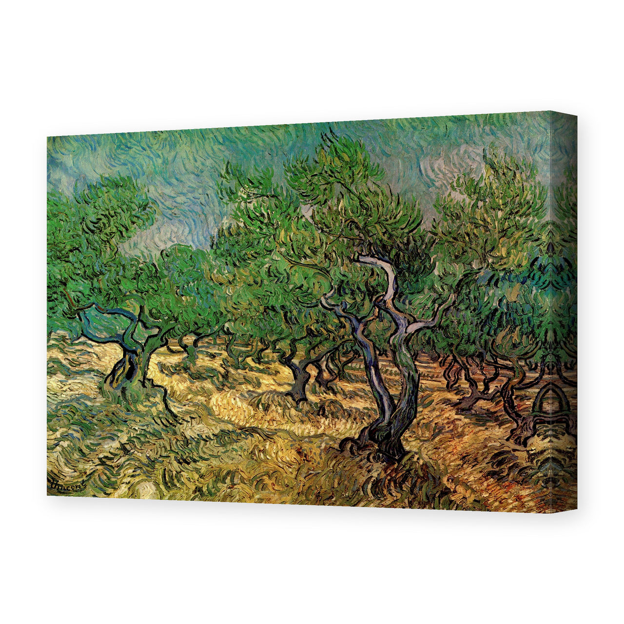 Vincent van Gogh's 'Olive Grove' painting reproduced as a gallery-wrapped canvas print