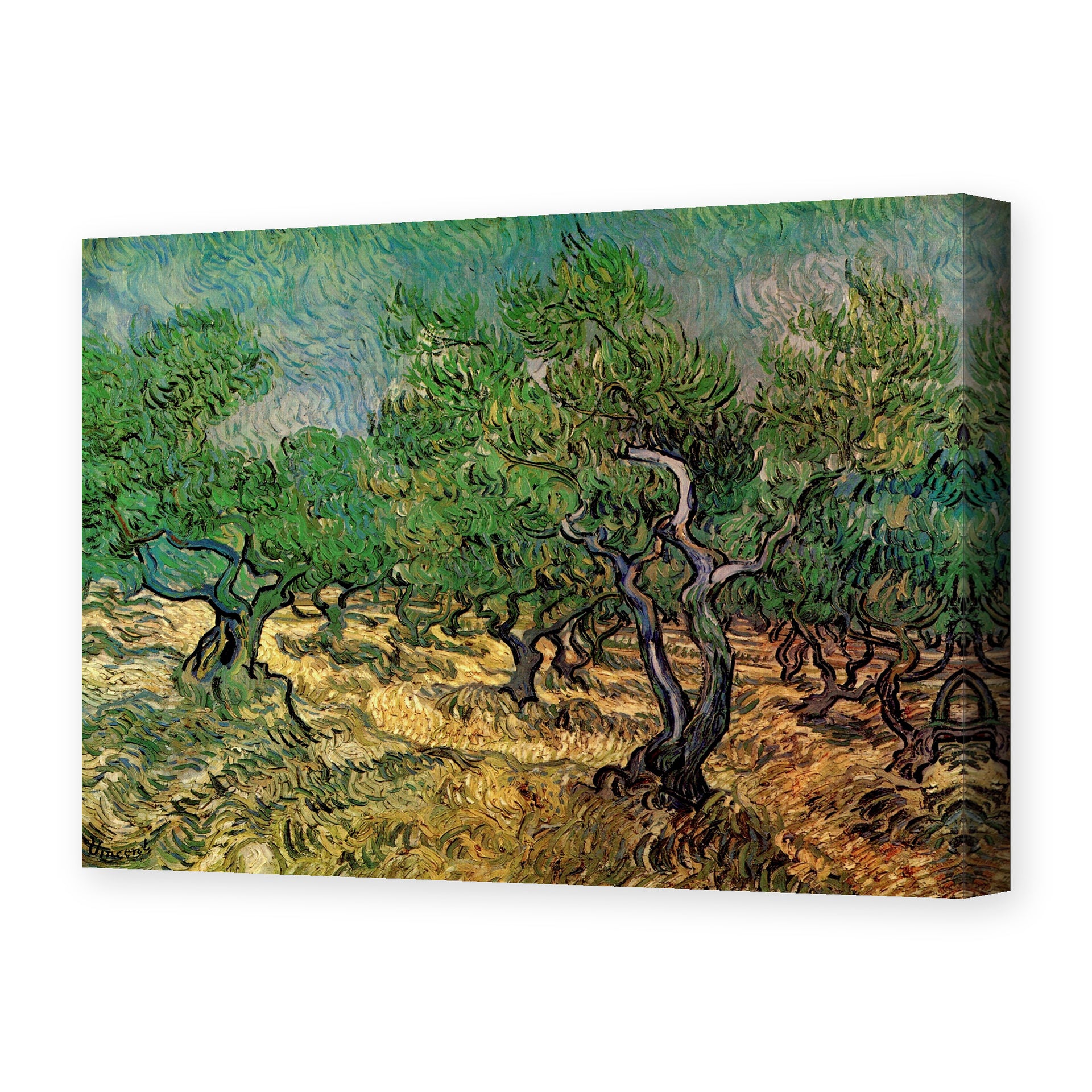 Vincent van Gogh's 'Olive Grove' painting reproduced as a gallery-wrapped canvas print