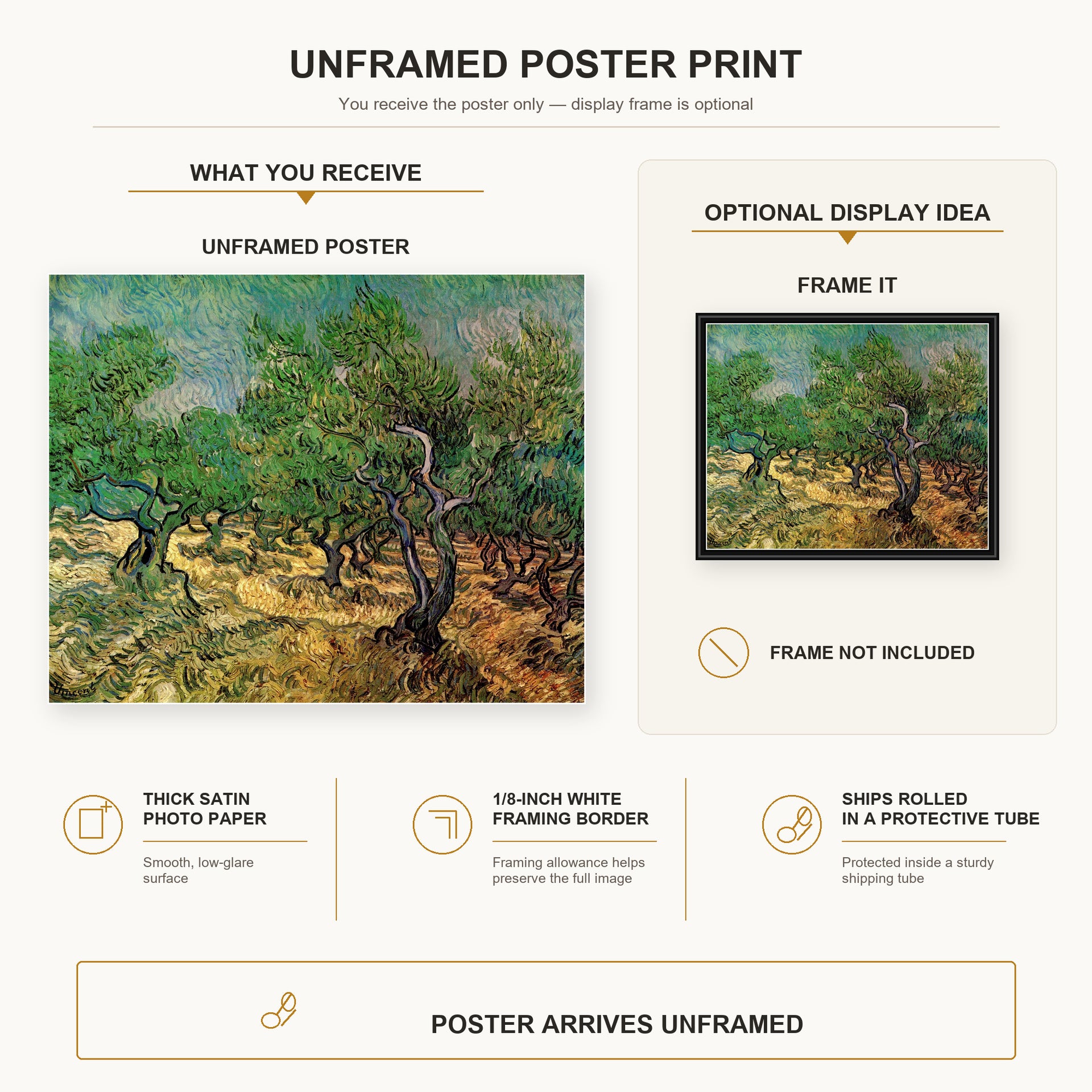 Vincent van Gogh - Olive Grove poster print size comparison and framing display infographic