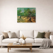 Unframed poster print of Vincent van Gogh's Olive Grove displayed on a wall in a living room