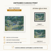 Vincent van Gogh - Olive Orchard canvas print size comparison and framing display infographic