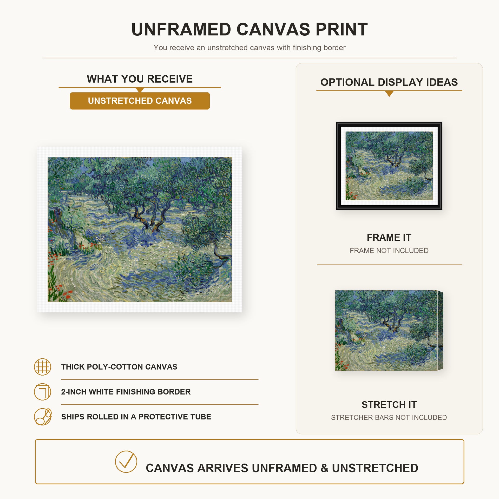 Vincent van Gogh - Olive Orchard canvas print size comparison and framing display infographic