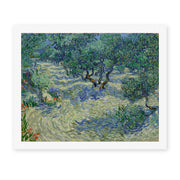 Vincent van Gogh's 'Olive Orchard' painting reproduced as a rolled canvas print