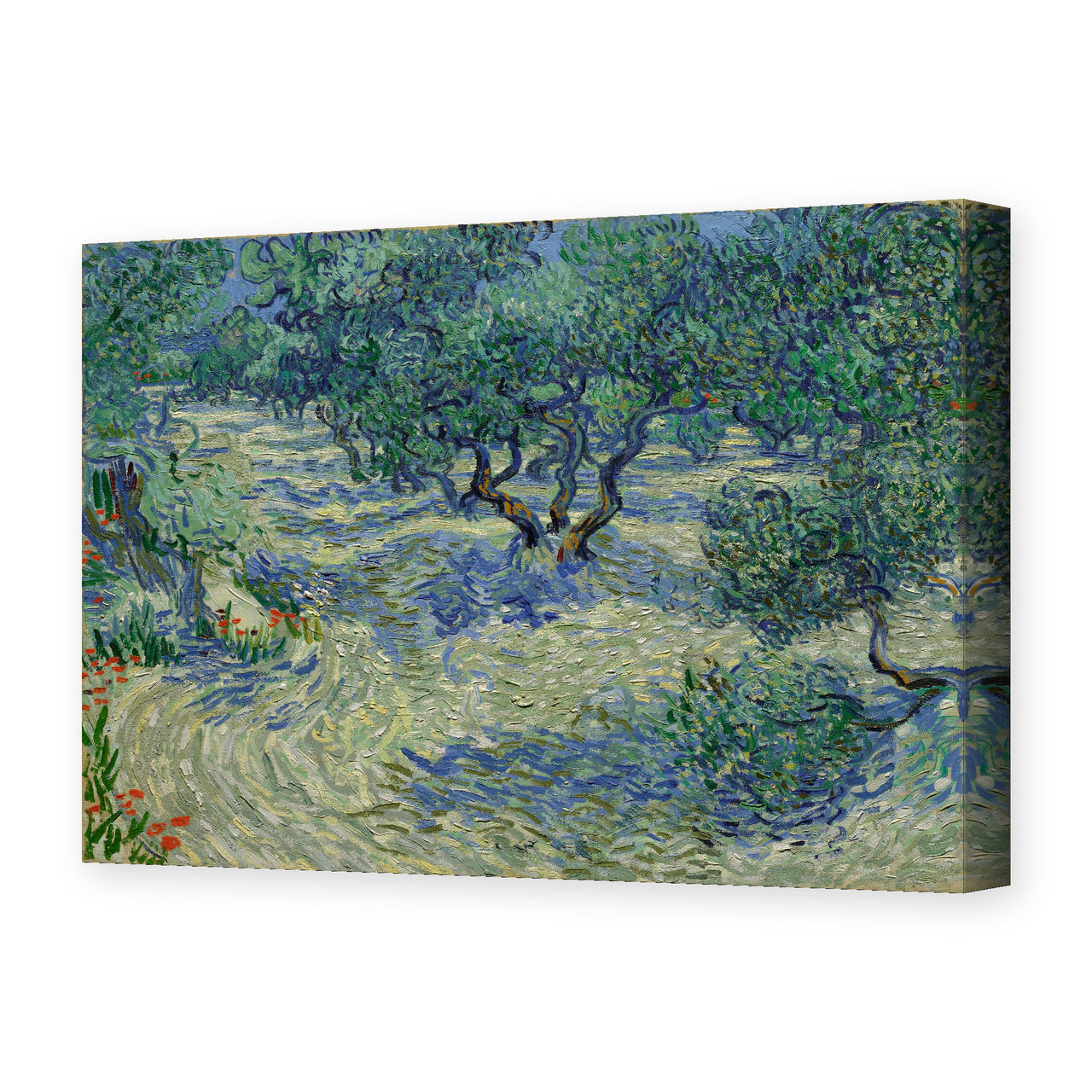Vincent van Gogh's 'Olive Orchard' painting reproduced as a gallery-wrapped canvas print
