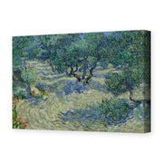 Vincent van Gogh's 'Olive Orchard' painting reproduced as a gallery-wrapped canvas print