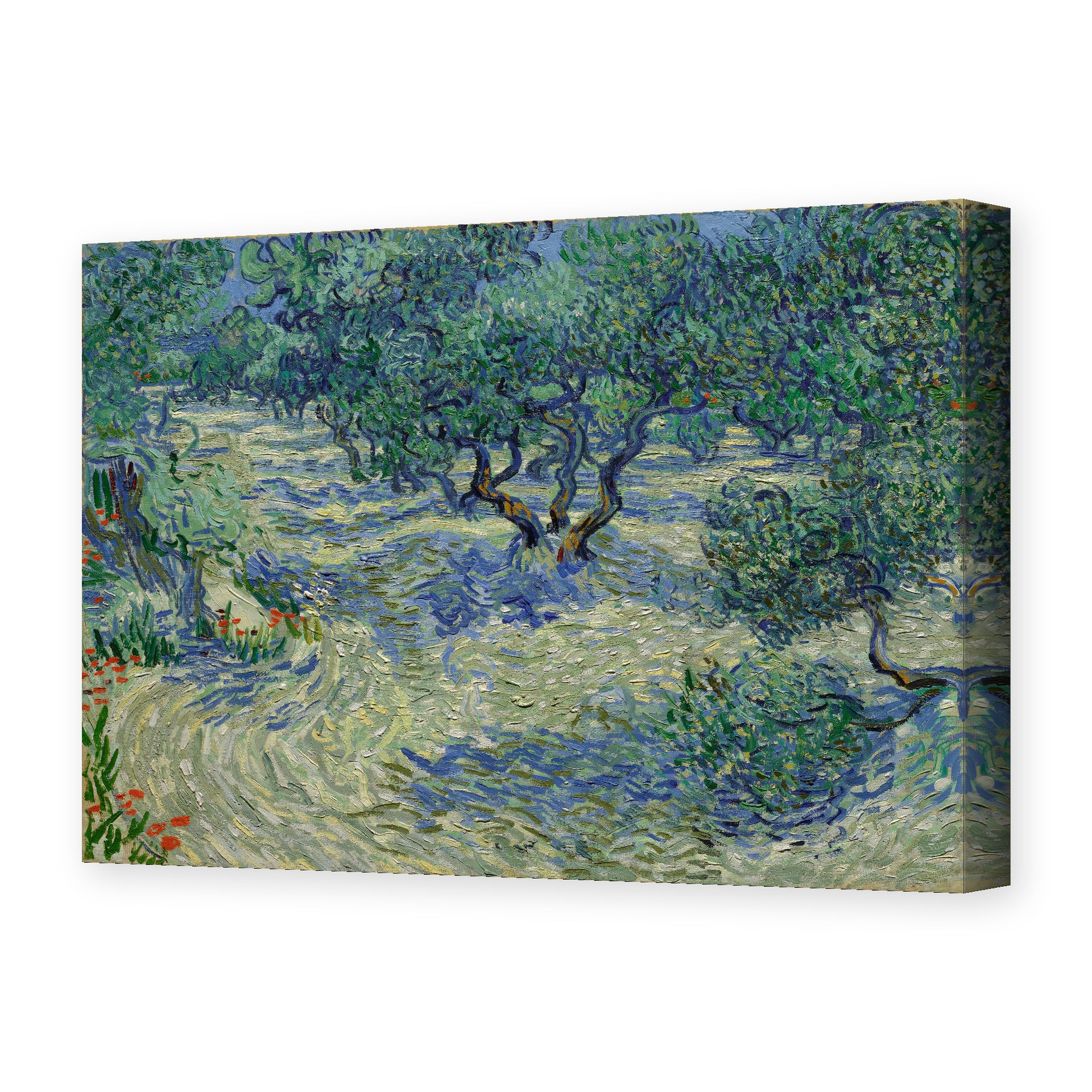 Vincent van Gogh's 'Olive Orchard' painting reproduced as a gallery-wrapped canvas print