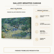 Vincent van Gogh - Olive Orchard gallery wrap canvas construction and hanging details infographic