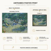 Vincent van Gogh - Olive Orchard poster print size comparison and framing display infographic