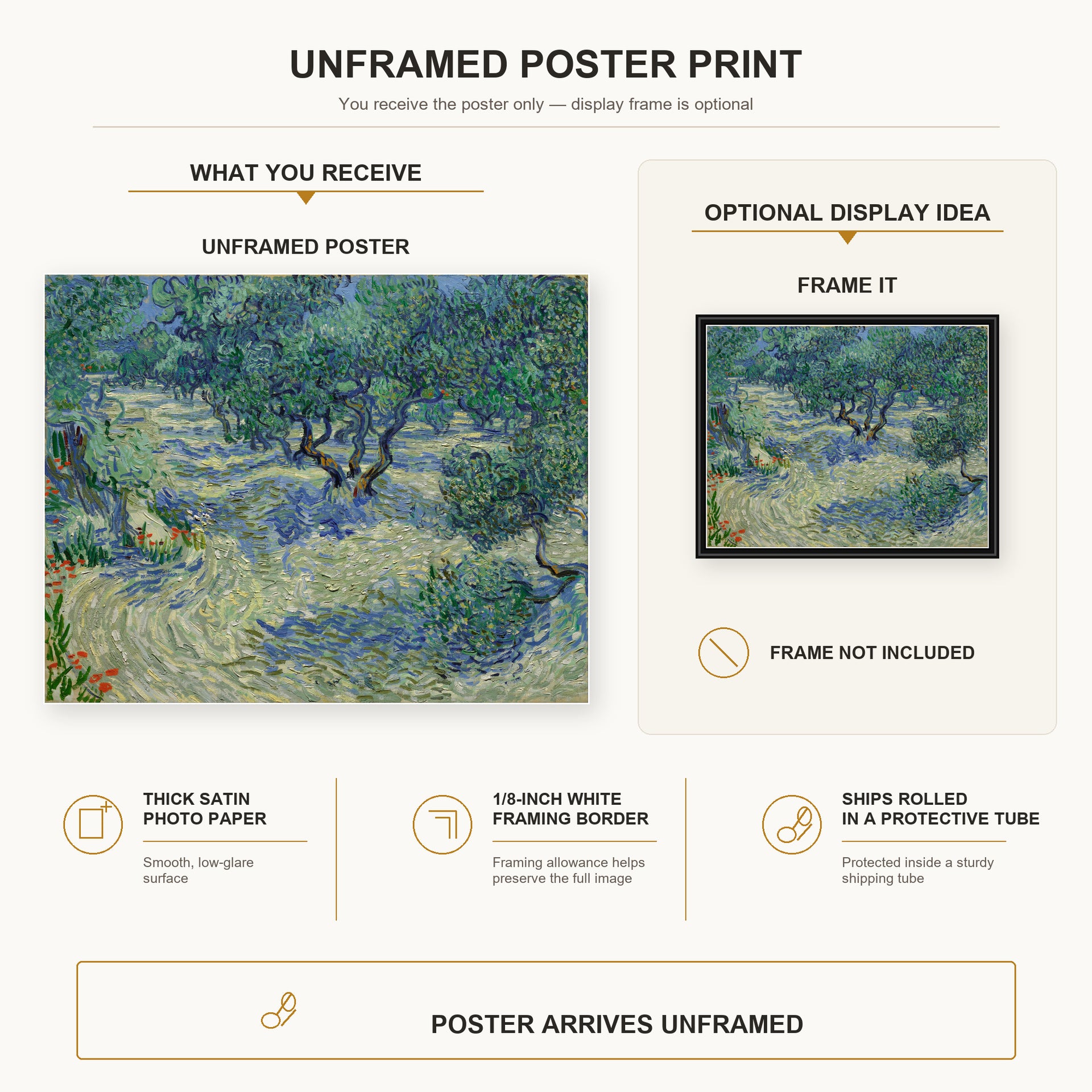 Vincent van Gogh - Olive Orchard poster print size comparison and framing display infographic