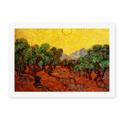 Vincent van Gogh's 'Olive Trees with Yellow Sky and Sun' painting reproduced as a rolled canvas print