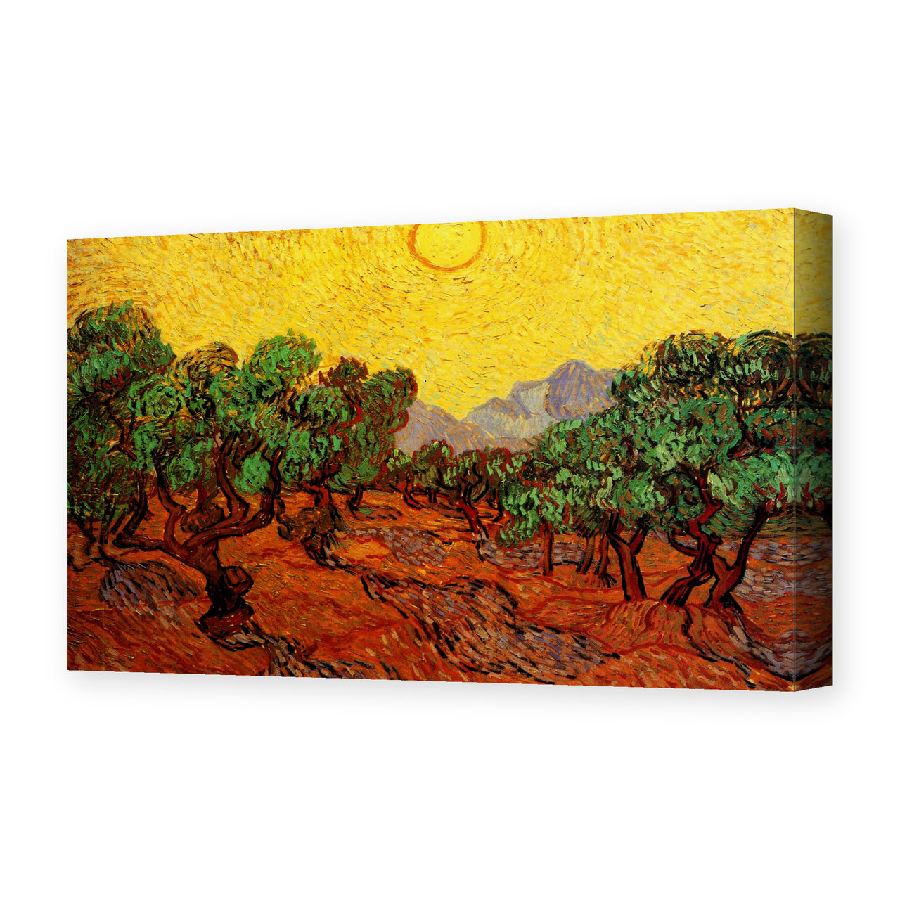 Vincent van Gogh's 'Olive Trees with Yellow Sky and Sun' painting reproduced as a gallery-wrapped canvas print