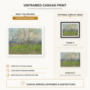 Vincent van Gogh - Orchard with Blossoming Apricot Trees canvas print size comparison and framing display infographic