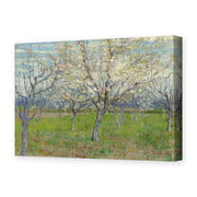 Vincent van Gogh's 'Orchard with Blossoming Apricot Trees' painting reproduced as a gallery-wrapped canvas print
