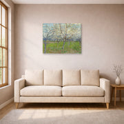 Gallery-wrapped canvas print of Vincent van Gogh's Orchard with Blossoming Apricot Trees displayed on a wall in a living room